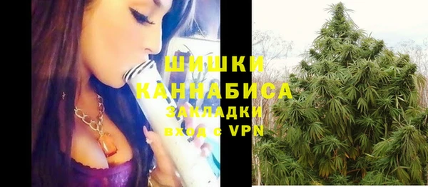 шишки Бугульма