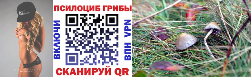 Псилоцибиновые грибы Magic Shrooms  Невель 